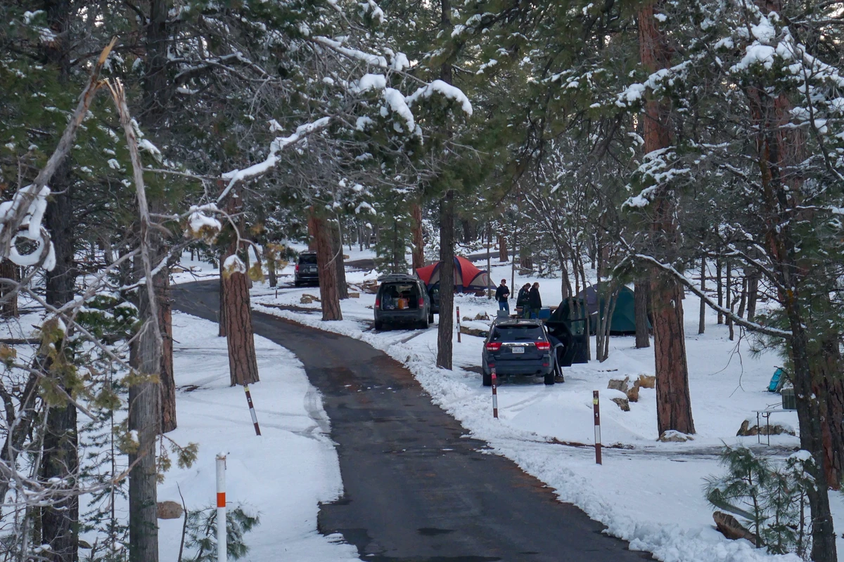 A snowy road through pine trees at Mather Campground on the South Rim of the Grand Canyon with a tent and parked cars